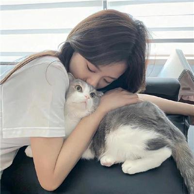 137号档案